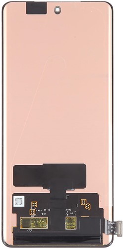 OnePlus 11R (CPH2487) Display LCD Without Frame Black (OEM)