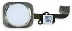 For Apple iPhone 6, 6 Plus Home Button Flex Cable White