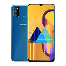 Galaxy M21s (M217F)