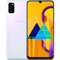 Galaxy M30s (M307F)