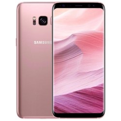 Galaxy S8 Plus (G955)